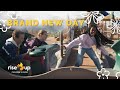 Brand New Day – Tiger Run (Cover) | Rise Up Junior Choir of Rise Up Children’s Choir