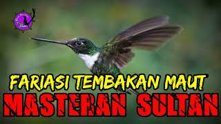Download lagu masteran irama terbaik bikin lawan ngeruji mp3