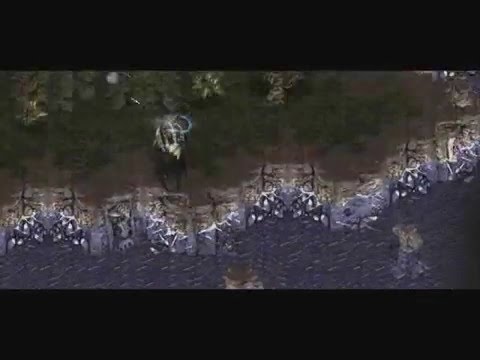 myMYM Terran Series - MYM.Testie