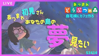 初見さんも大歓迎　アイコの夢探訪【あつまれどうぶつの森】雑談しながらカールうすあじ島をまったり開拓　S3＃14【あつ森】【定期生配信】