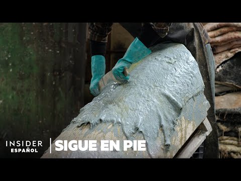 Cómo se convierten las pieles de animales en pergaminos en el único taller de EE. UU. | Sigue en pie