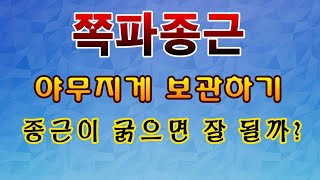 [텃밭농부. 1,102]  쪽파종근을 잘 말려서 보관하는 방법 #쪽파재배