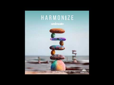 Animato & Perfect Stranger -  Unite