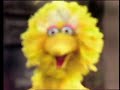 Classic Sesame Street Big Bird And Olivia First And Last Line