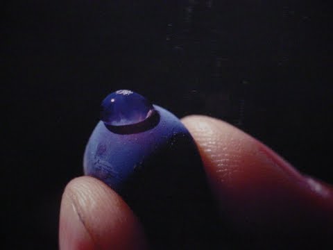 download lagu mp3 mp4 Blueberry Press Drink, download lagu Blueberry Press Drink gratis, unduh video klip Blueberry Press Drink