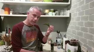 פרוביוטיקה טבעית - עכשיו זמן מלפפונים