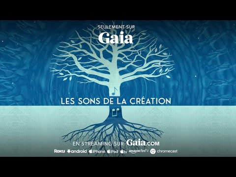 Les Sons De La Creation NOUVEAUTÉ - Les Sons de la Création (Sounds of Creation) - une exclu Gaia. 💫