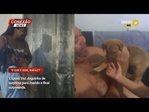 Vídeo: Esposa traz doguinho de surpresa para marido e final surpreende.