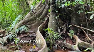 173 BOYETT ROAD, MISSION BEACH, QLD 4852