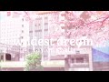 wildest dream〜 taylor swift (slowed + reverb)｡:°ஐ