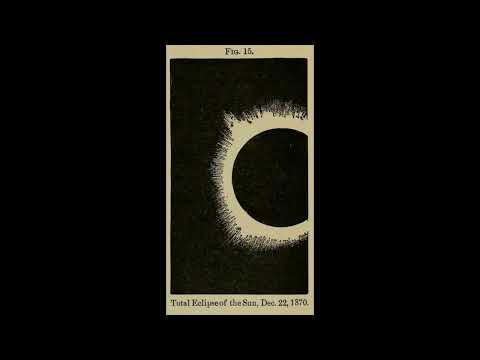 [FREE] BONES x NIGHT LOVELL x $uicideBoy$ - "Forest" TYPE BEAT (prod. sergonium)