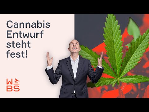 Cannabis: Bundesregierung einigt sich auf Entwurf! DAS steht drin | Anwalt Christian Solmecke