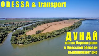 �� � ������� ������ ��������� ��� (³���)