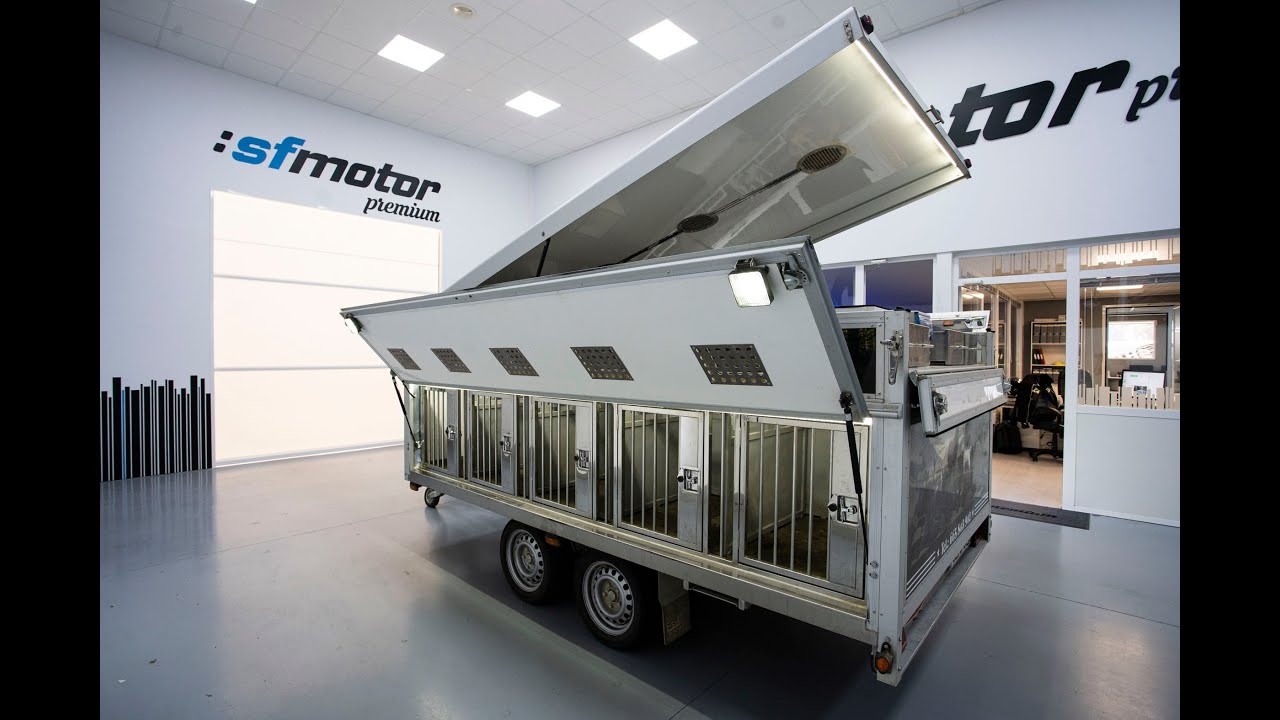 Watch REMOLQUE PERROS REHALAS Now REMOLQUE PERROS REHALAS