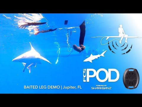 FCS x Sharkbanz POD - Shark Testing Demo - Watch Sharks' Reactions