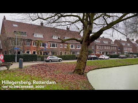 Walking Hillegersberg, Rotterdam [Winter, the Netherlands]