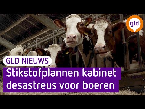 GLD Nieuws 13 juni 2022