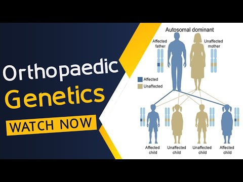 Orthopaedic Genetics