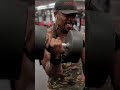 BELT BICEP CURL FOR HOLLYWOOD ARMS #Beltcurls #bicepbelt #damianbaileyfitness