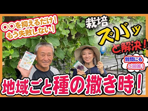 種まきに関する10の質問と回答 トピックス