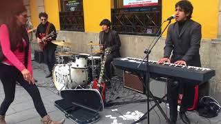 The Folks I wanna Prove to you by The lemon twigs