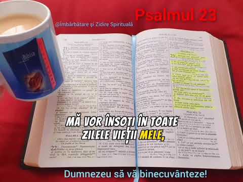 Psalmul 23 recitat de Salomeea Andruș