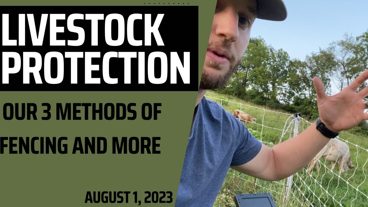 Ultimate Livestock Protection: Pros and Cons of 3 Farm Fencing Types