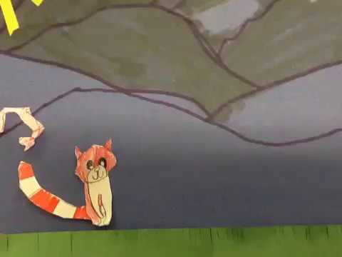 Red Panda Food Web