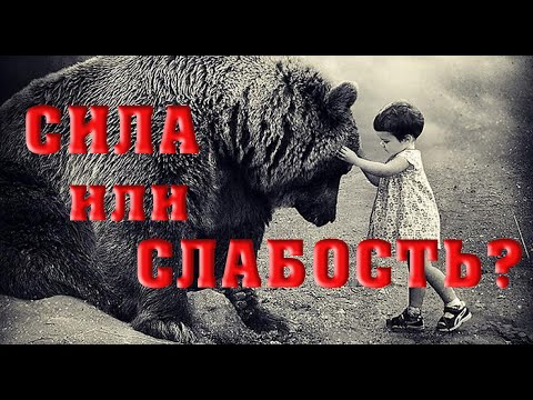 СИЛА ИЛИ СЛАБОСТЬ/Алексей Воскресенский проповеди/