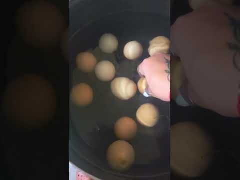 Farm Fresh Eggs and how to test if they are good!