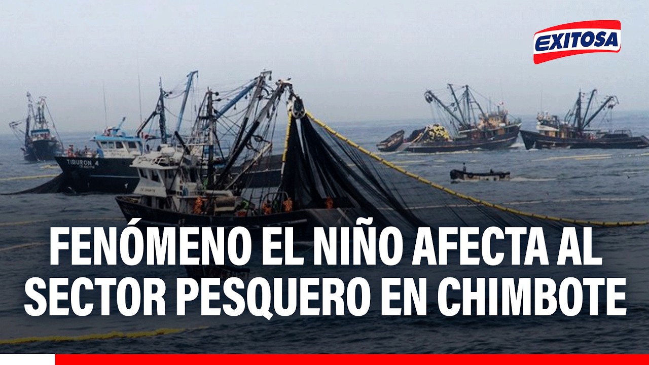 🔴🔵 Fenómeno El Niño afecta al sector pesquero en Chimbote