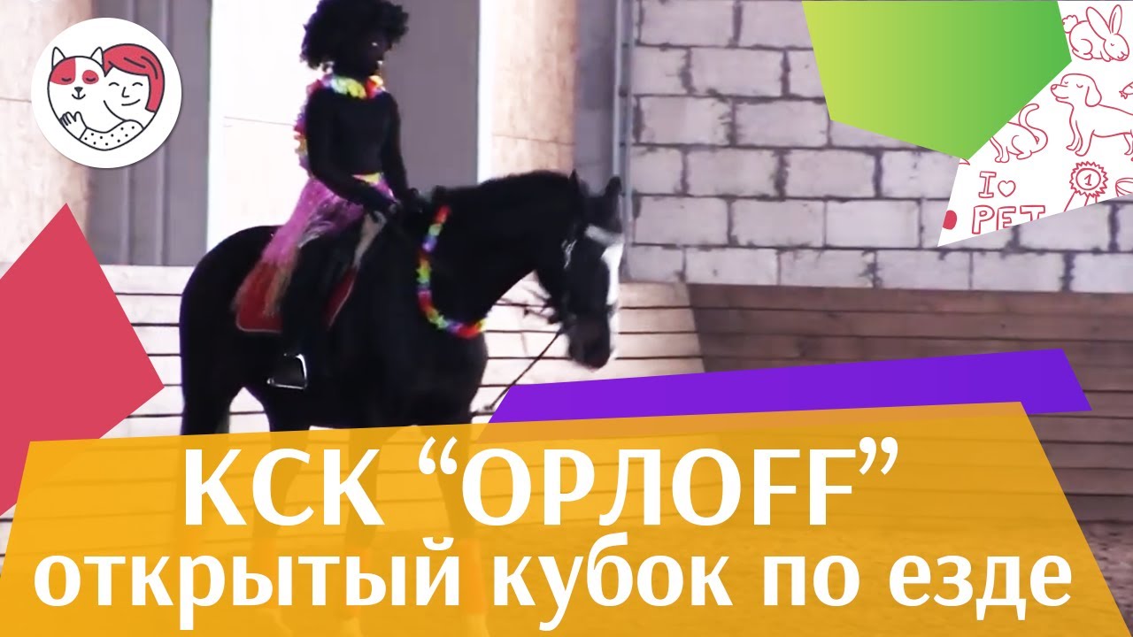 Открытый кубок КСК Орлоff Выездка 3 на ilikepet