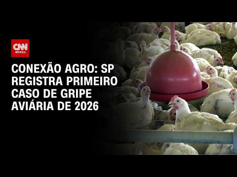 São Paulo registra primeiro caso de gripe aviária de 2026 | CNN NOVO DIA