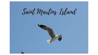 preview picture of video 'Saint Martins Island (MM)'