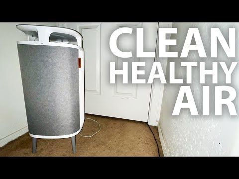Blueair DustMagnet 5440i Tabletop Air Purifier for Medium Bedrooms
