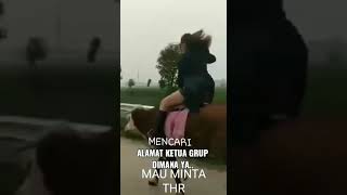 Download lagu Cewek Naik Sapi Nyari Ketua Grup WA LUCU mp3 Download lagu Cewek Naik Sapi Nyari Ketua Grup WA LUCU mp3
