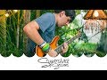 The Ries Brothers Momentum Loop Live Music
