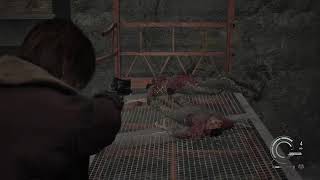 BIOHAZARD9 いんさにてちぃー