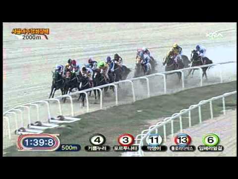 2011 Seoul Owners' Cup (G1) - KkakJaengi