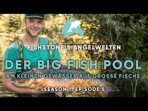 FISHSTONE's Angelwelten S1E5 – DER BIG FISH POOL Am kleinen Gewässer auf große Fische