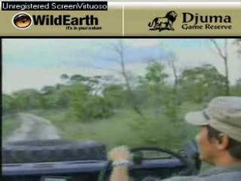 Sunrise drive 112007-2