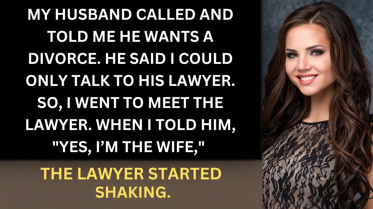 My Husband Wants a Divorce – The Lawyer's Shocking Reaction When I Said 'I’m the Wife...