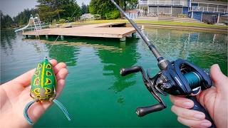 I Skipped a Frog Under Every Dock on the Lake