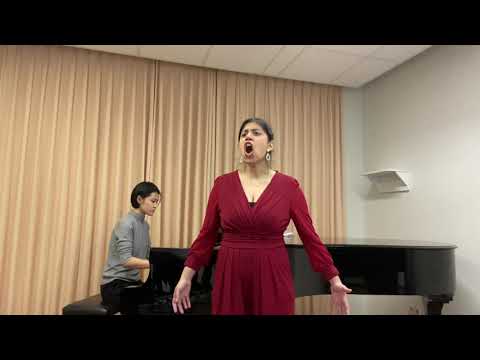 Parto, Parto, Ma Tu Ben Mio from La Clemenza di Tito by Wolfgang Amadeus Mozart