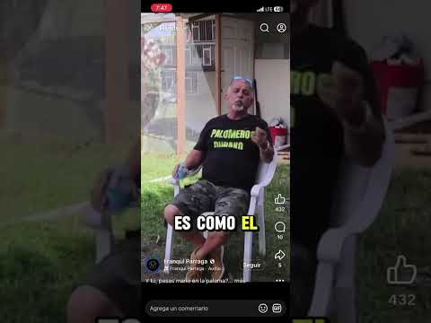 Palomero Cuba 🇨🇺 #palomas #cajon #100%