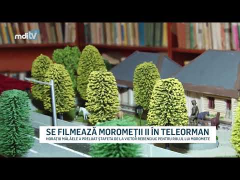 SE FILMEAZA MOROMETII IN TELEORMAN   YOUTUBE