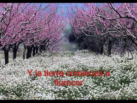 Se Escucha La Lluvia video