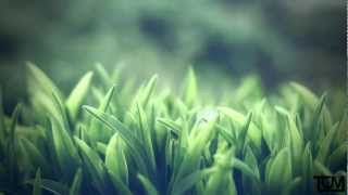 Mike Stud - Critic (prod. Brody Brown)