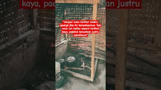 Download lagu Kata Bijak Kaya dan Miskin #shorts #kaya #quotes mp3 Download lagu Kata Bijak Kaya dan Miskin #shorts #kaya #quotes mp3