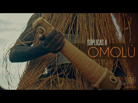 Súplicas a OMOLÚ - Rosa Amarela